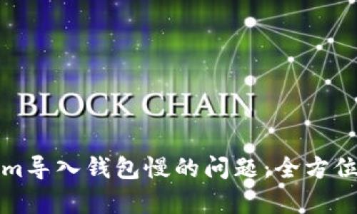 如何解决Tokenim导入钱包慢的问题：全方位分析与解决方案