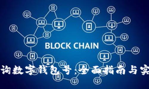 如何查询数字钱包号：全面指南与实用技巧