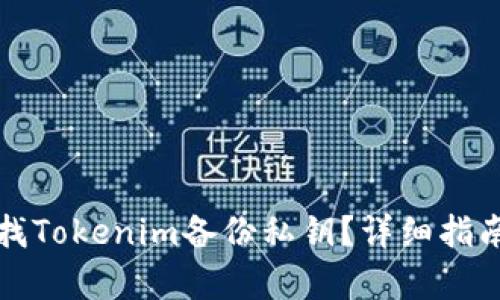 如何查找Tokenim备份私钥？详细指南与解析
