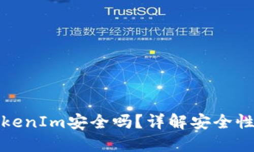 把币提到TokenIm安全吗？详解安全性与风险防范
