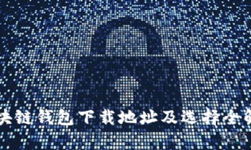 区块链钱包下载地址及选择全解析