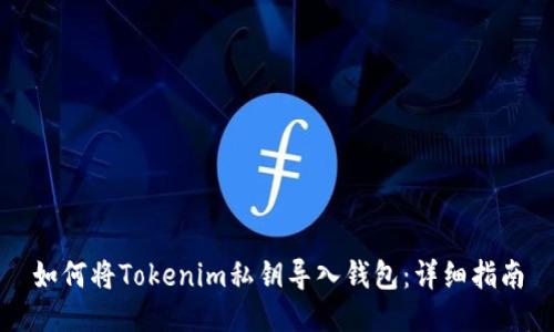 如何将Tokenim私钥导入钱包：详细指南