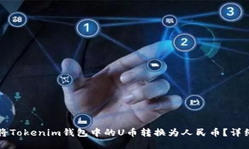 如何将Tokenim钱包中的U币转换为人民币？详细指南