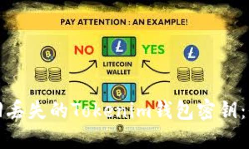 如何找回丢失的Tokenim钱包密钥：全面指南