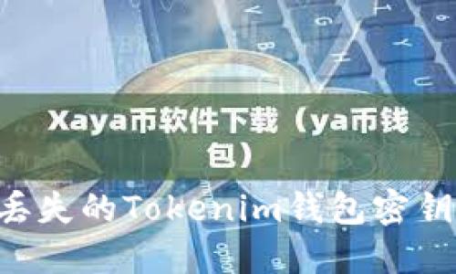 如何找回丢失的Tokenim钱包密钥：全面指南