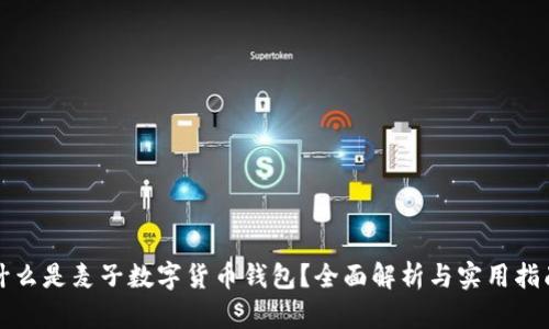 什么是麦子数字货币钱包？全面解析与实用指南
