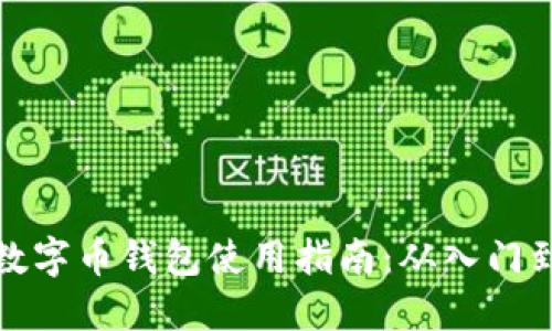 详解数字币钱包使用指南：从入门到精通
