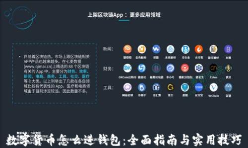 
数字货币怎么进钱包：全面指南与实用技巧