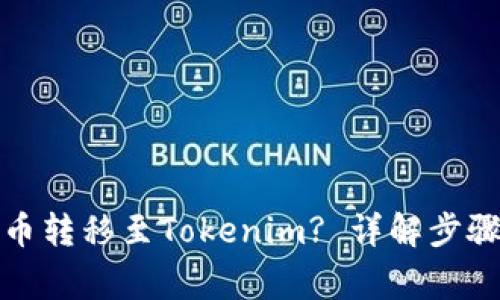 如何将主网币转移至Tokenim? 详解步骤与注意事项