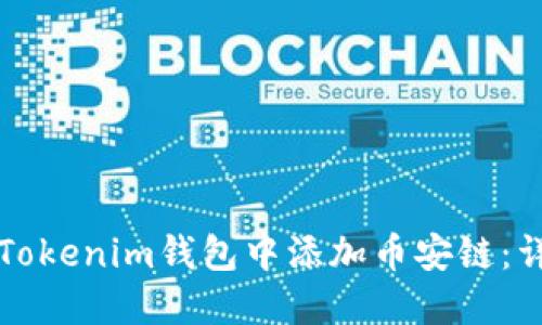 如何在Tokenim钱包中添加币安链：详细指南