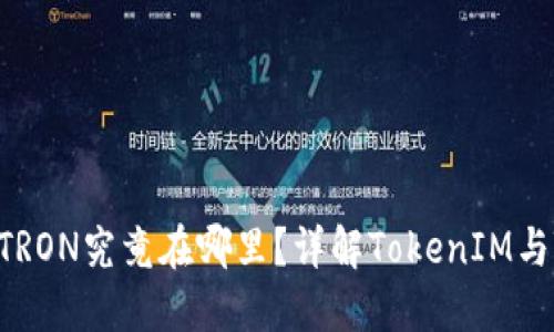 TokenIM的TRON究竟在哪里？详解TokenIM与TRON的关系