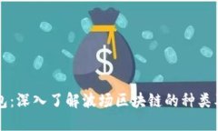 波场钱包：深入了解波场区块链的种类及其应用