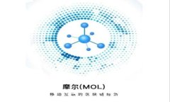 区块链云钱包的种类与选择指南