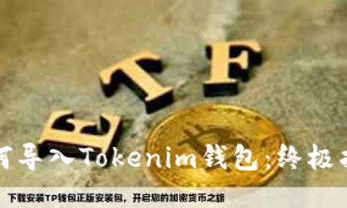 如何导入Tokenim钱包：终极指南