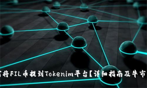 如何将FIL币提到Tokenim平台？详细指南及牛市分析