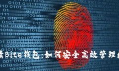 全面解读Bite钱包：如何安全高效管理数字资产