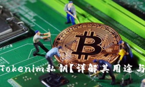 什么是Tokenim私钥？详解其用途与安全性