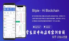 数字货币在日常生活中的应用实例分析