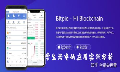 数字货币在日常生活中的应用实例分析