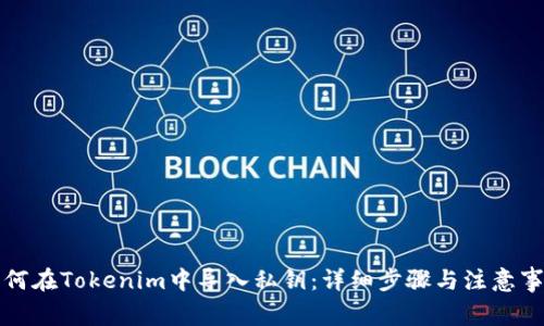 如何在Tokenim中导入私钥：详细步骤与注意事项