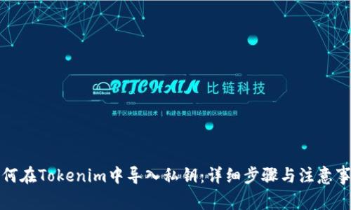 如何在Tokenim中导入私钥：详细步骤与注意事项