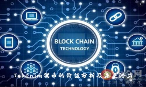 Tokenim代币的价值分析及未来潜力