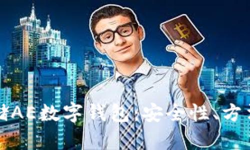 如何有效存储AE数字钱包：安全性、方法与管理技巧