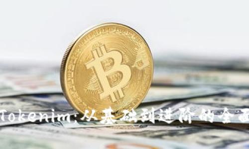 详解Tokenim：从基础到进阶的全面教程
