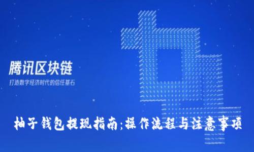 柚子钱包提现指南：操作流程与注意事项