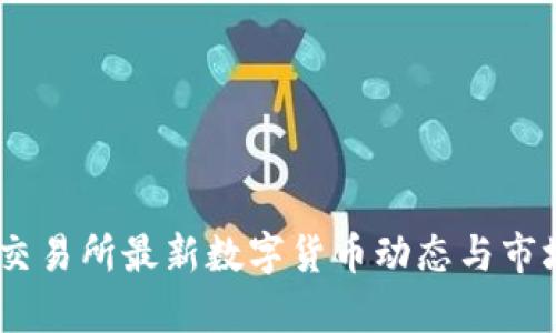 OKEx交易所最新数字货币动态与市场分析