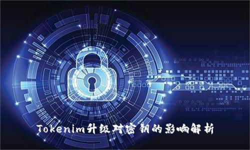 Tokenim升级对密钥的影响解析