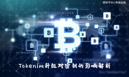 Tokenim升级对密钥的影响解析