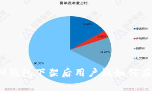 TokenTokenIM钱包下架后用户该如何应对与应急策略