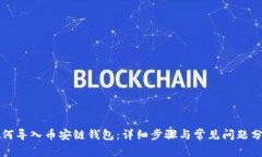 如何导入币安链钱包：详细步骤与常见问题分析