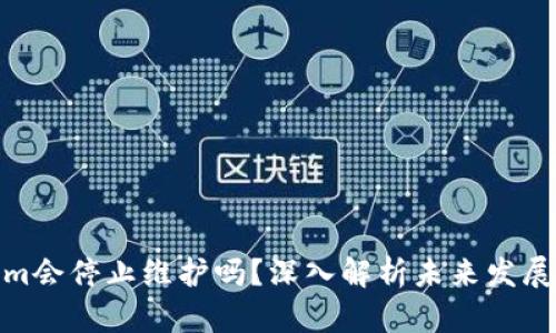 Tokenim会停止维护吗？深入解析未来发展与风险