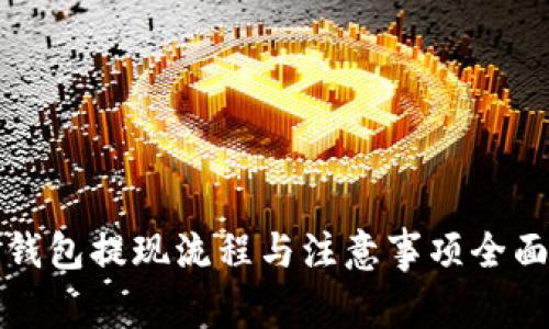 数字钱包提现流程与注意事项全面解析