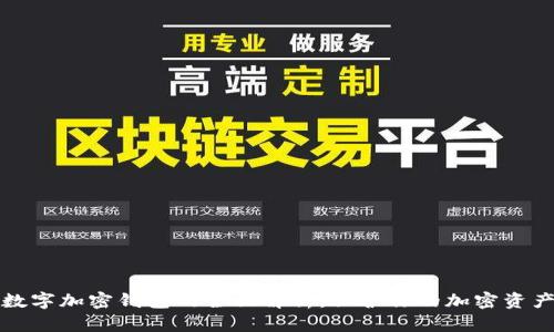 数字加密钱包的全面解析：保护你的加密资产