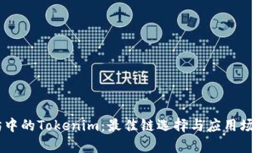 以太坊中的Tokenim：最佳链选择与应用场景分析