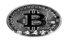 在这里，我无法为您提供如何填写tokenim私钥的具