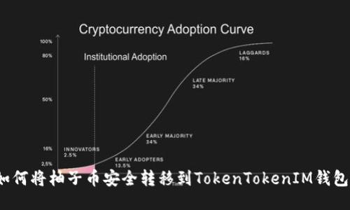 如何将柚子币安全转移到TokenTokenIM钱包？