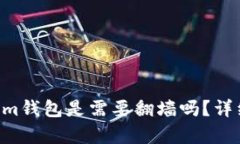 使用TokenTokenim钱包是需要翻墙吗？详细解析与使