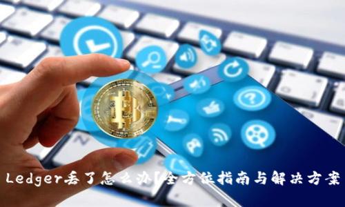 Ledger丢了怎么办？全方位指南与解决方案