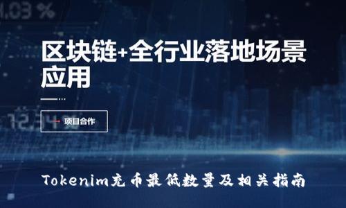 Tokenim充币最低数量及相关指南
