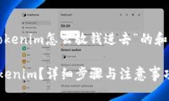 下面是一个关于“tokenim怎么放钱进去”的和相关