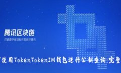 如何使用TokenTokenIM钱包进行公钥查询：完整指南
