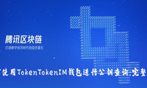 如何使用TokenTokenIM钱包进行公钥查询：完整指南