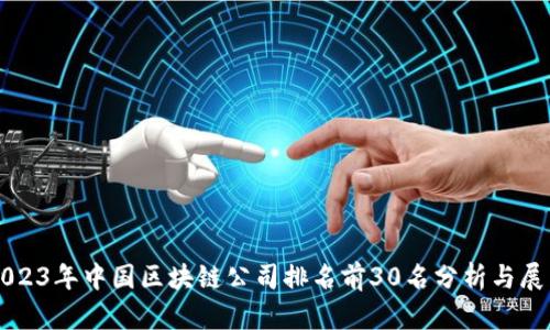 2023年中国区块链公司排名前30名分析与展望