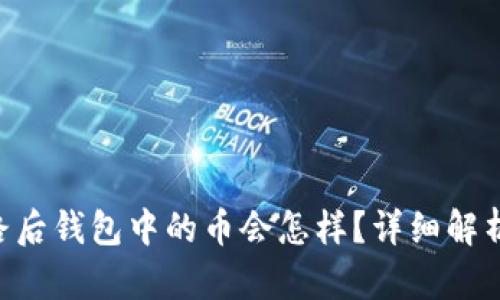 Tokenim跑路后钱包中的币会怎样？详细解析与应对策略