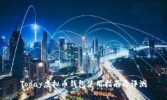 Topay虚拟币钱包使用指南与评测