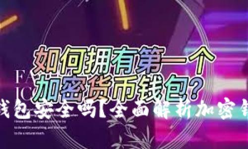 加密货币进钱包安全吗？全面解析加密钱包的安全性